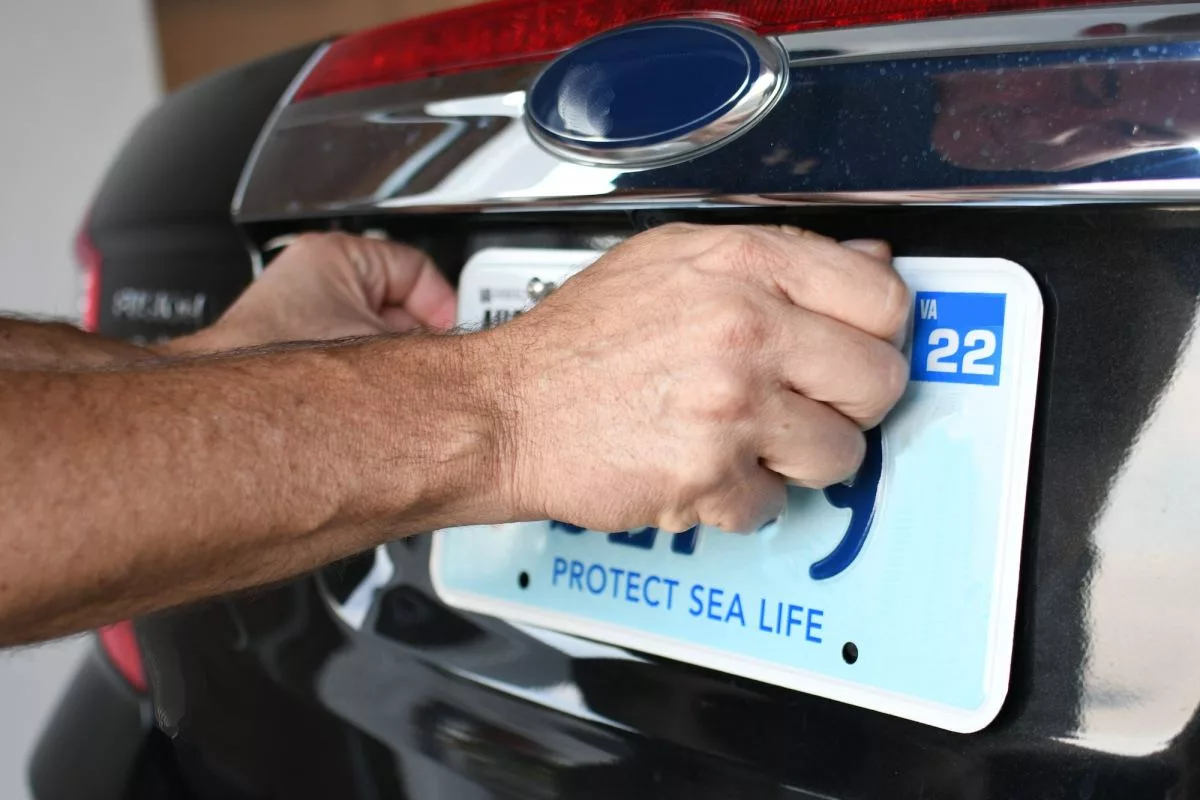 attaching-a-vehicle-registration-license-plate-to-a-car-so-it-is-legal-to-drive-on-the-road-576900