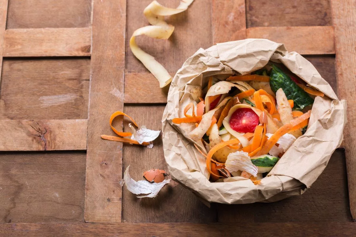 kitchen-leftovers-for-recycling-and-composting-garbage-sorting-zero-waste761259