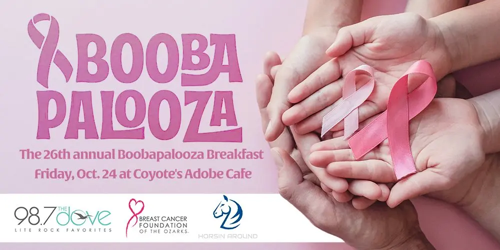 boobapalooza-25783545