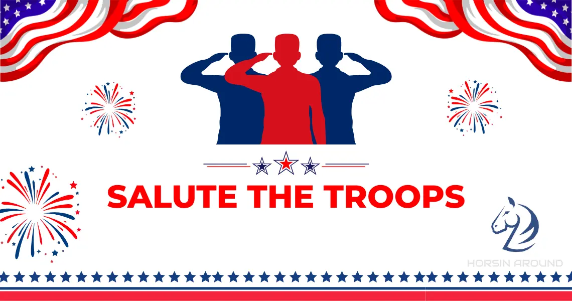 salute-the-troops234381