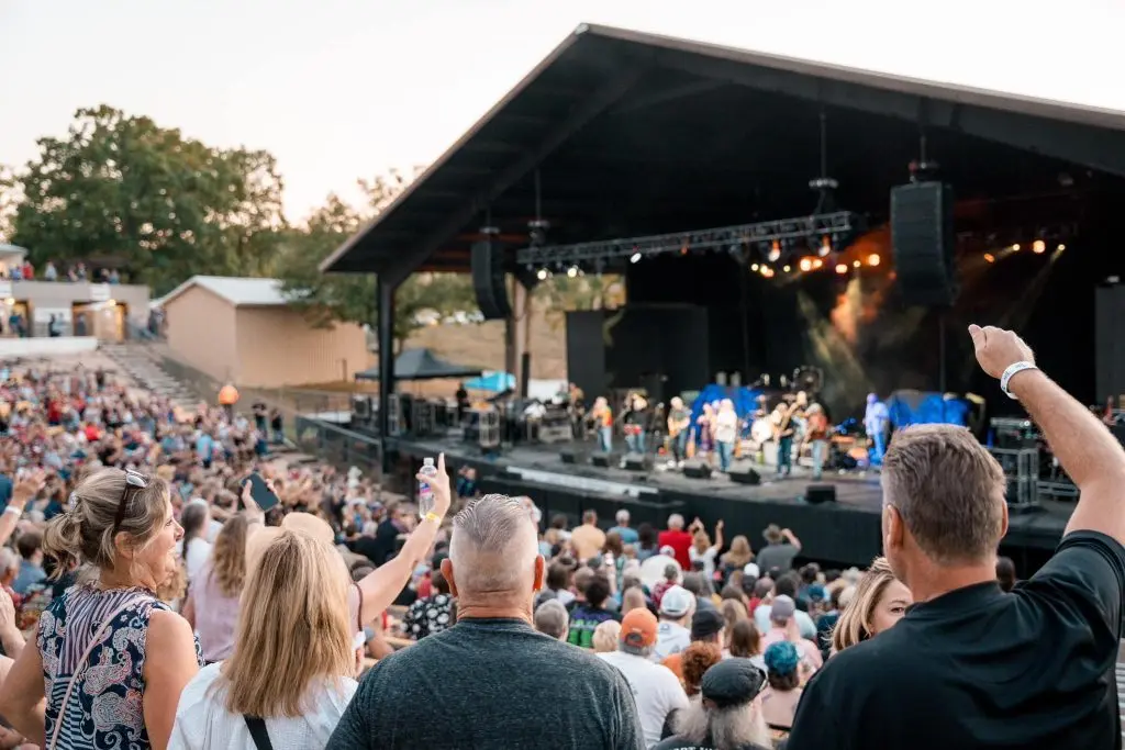 Photo of an excited crowd with arms in the air at a concert