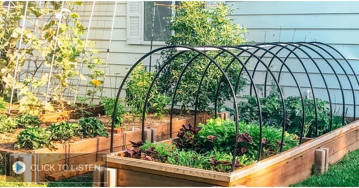 kkjg-1616594806-588163