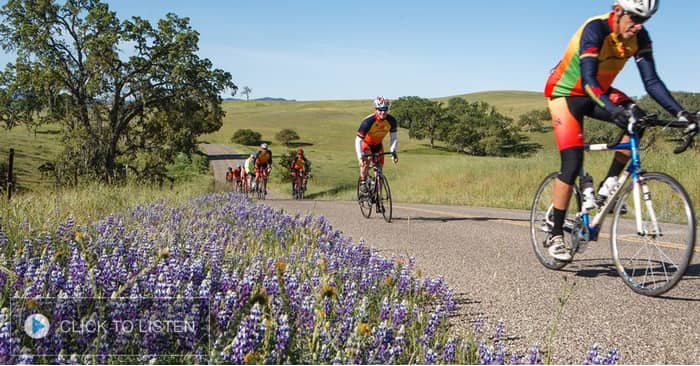 kkjg-1617725904-271674