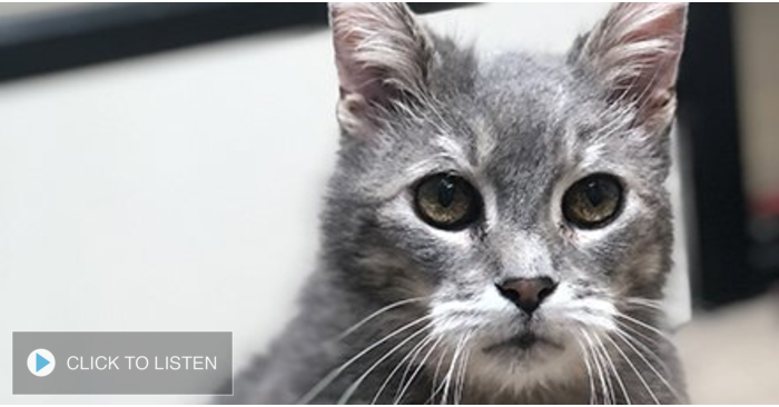 kkjg-1617989597-607922