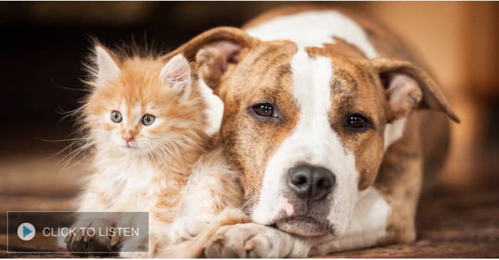 kkjg-1619036151-403215