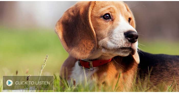 kkjg-1619631077-674296