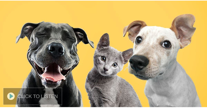 kkjg-1621442784-646597