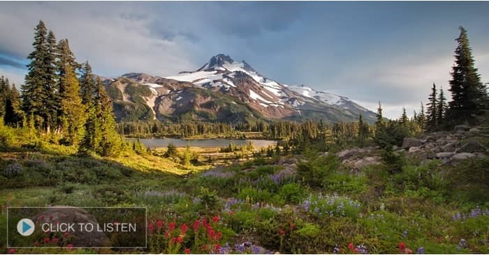 kkjg-1621953065-581471