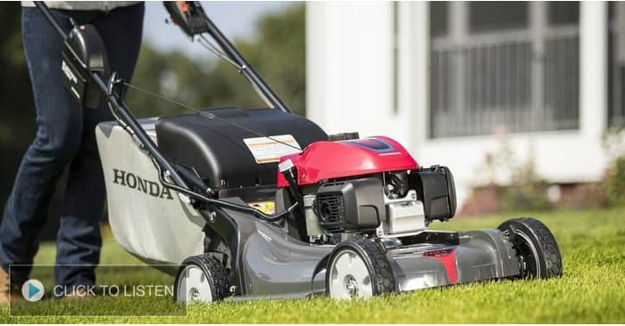 kkjg-1622045907-755454