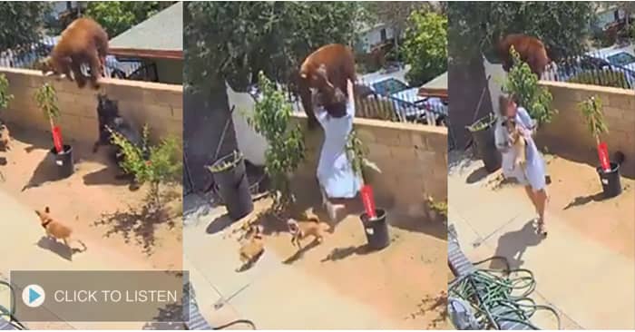 kkjg-1622642552-853778