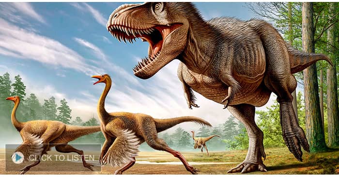 kkjg-1622728834-775474