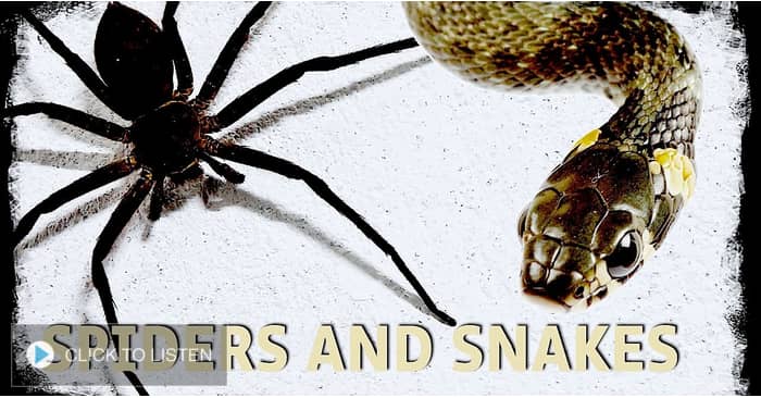 kkjg-1625752877-624348