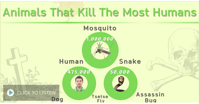 kkjg-1627575564-017636