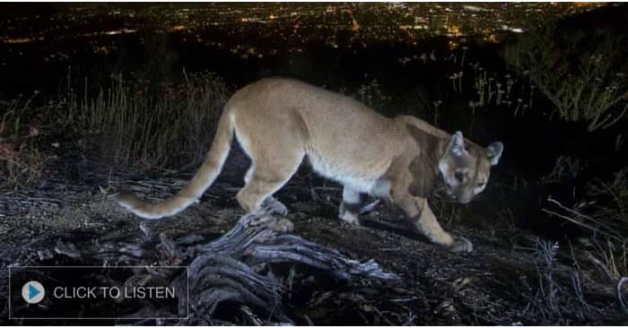 kkjg-1630422648-195738