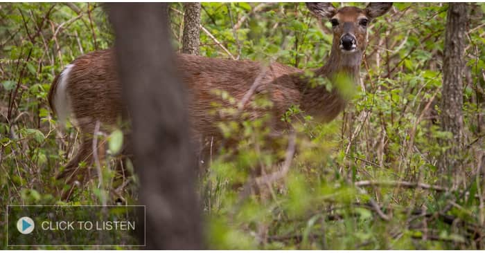 kkjg-1631033857-988638