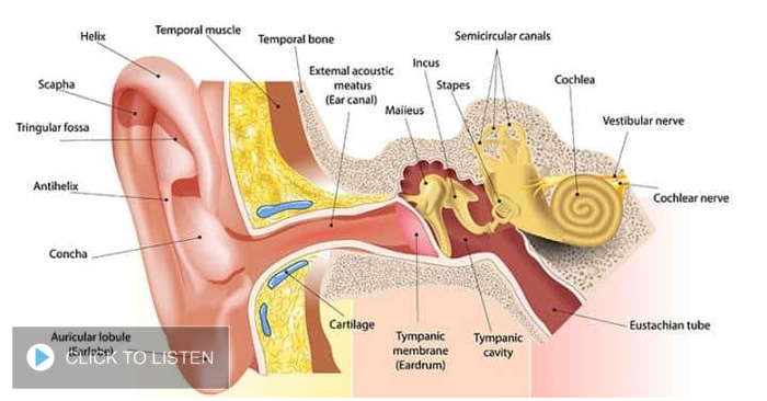 kkjg-1631545052-514271