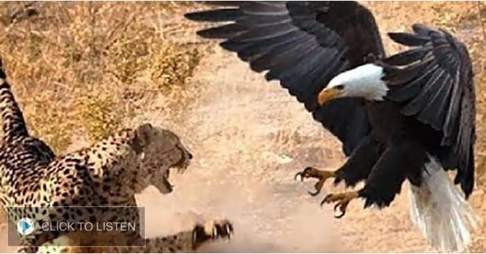 kkjg-1631801051-404261