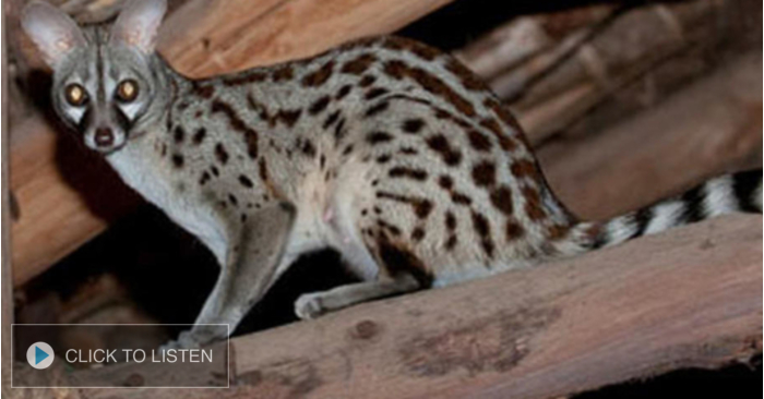 kkjg-1643389262-634849