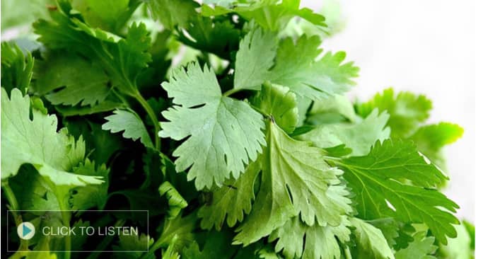 kkjg-1643644614-133891