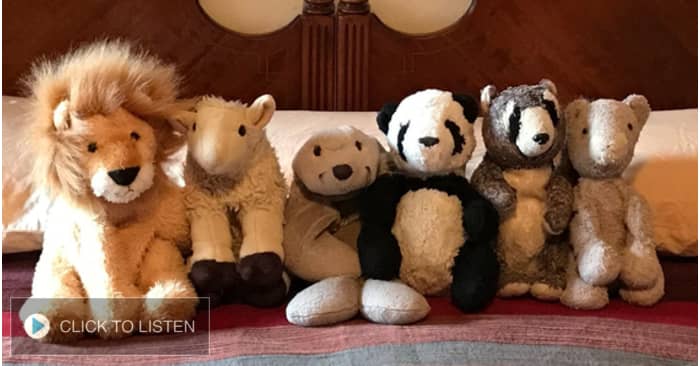 kkjg-1643817556-101956