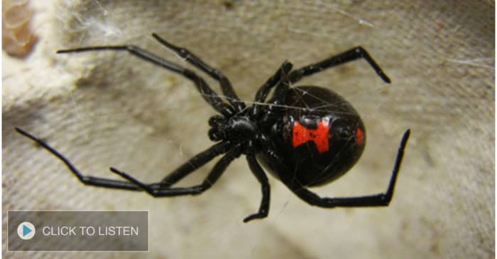 kkjg-1644944314-013864