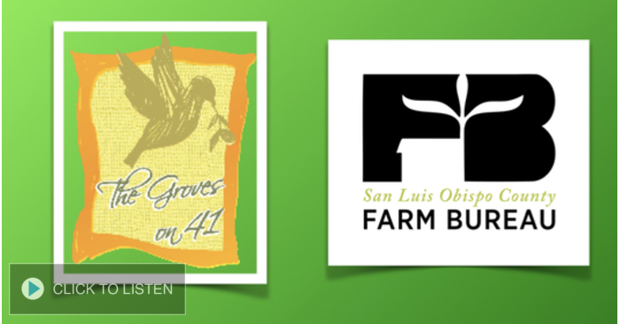 kkjg-1646935867-308983