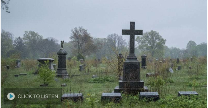 kkjg-1647878872-749212