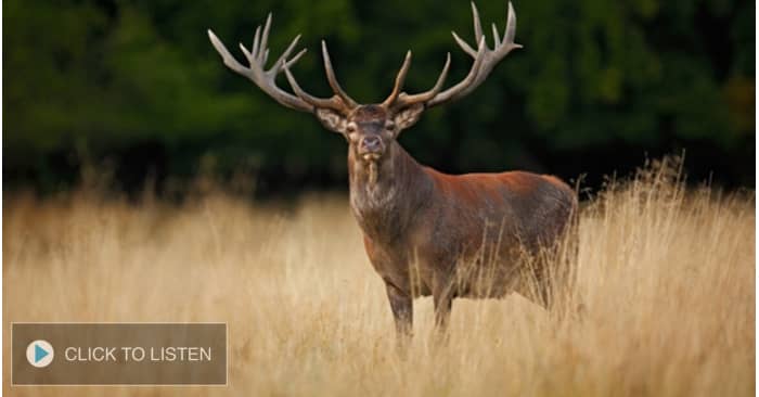 kkjg-1648137553-775330