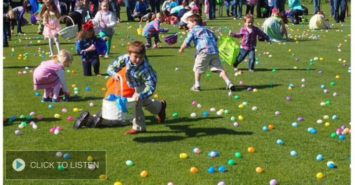 kkjg-1649094534-758231