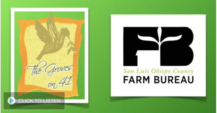 kkjg-1650562378-947151