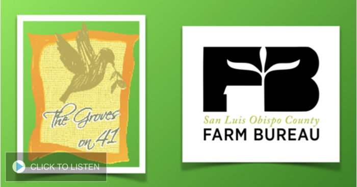 kkjg-1648141442-046308-2