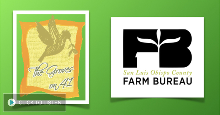 kkjg-1651166727-261679