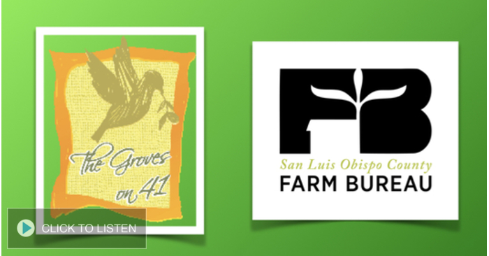 kkjg-1648747671-484955-2