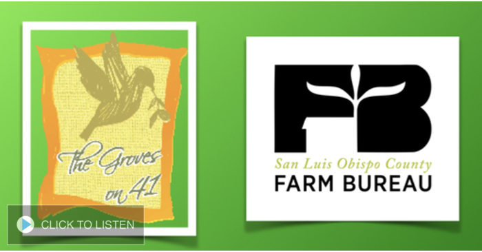 kkjg-1651770363-581686