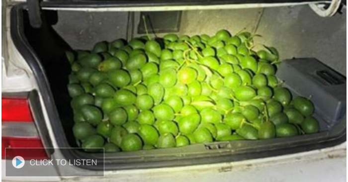 kkjg-1652202112-080883