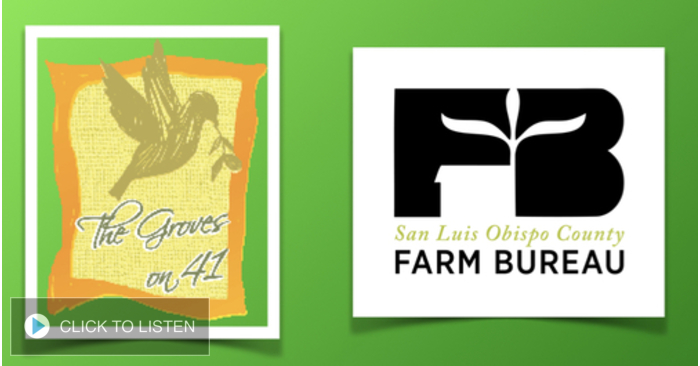 kkjg-1654189677-352546