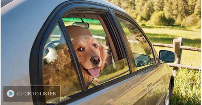 kkjg-1654794452-507791