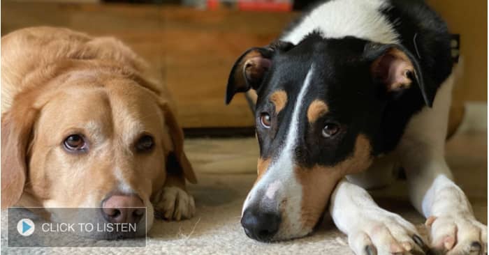 kkjg-1654879578-227507