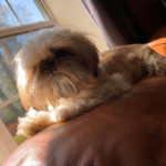 Emily-Marshall-Wickett