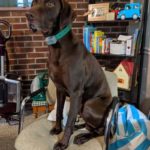 Jennifer-Ferguson-Luke