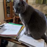 Jennifer-Ferguson-Nim