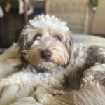 Sabrina-Ferguson-Kali