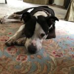 Alan-1: Alan-1: This is one of Alan Stein's New Co-Workers