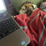 Kathy-2: Kathy-2: Salesperson Kathy Fredericks Assistant #1