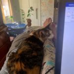 Kathy-3: Kathy-3: Kathy's Assistant #2