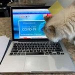 Keri-1: Keri-1: Promotions Director Kerri Stein's Webmaster, apparently!