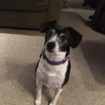 molly3: molly3: This is Skip Eliot's "Producer", Molly.