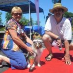 DSC4270: Lexington’s Hottest Hound 2015… My Girl Friday!