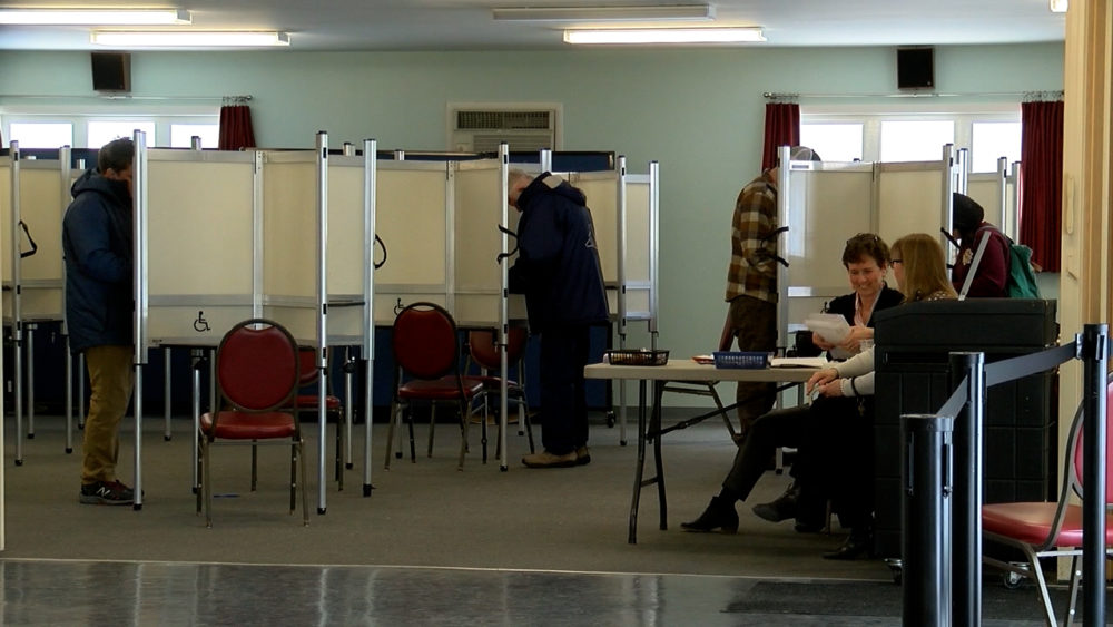voting1