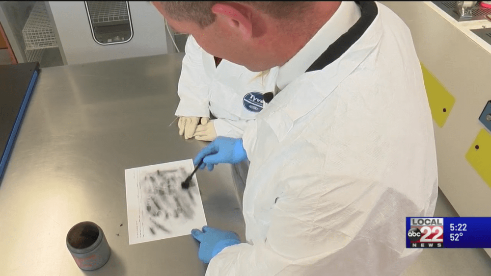 nysp-lab-2-1